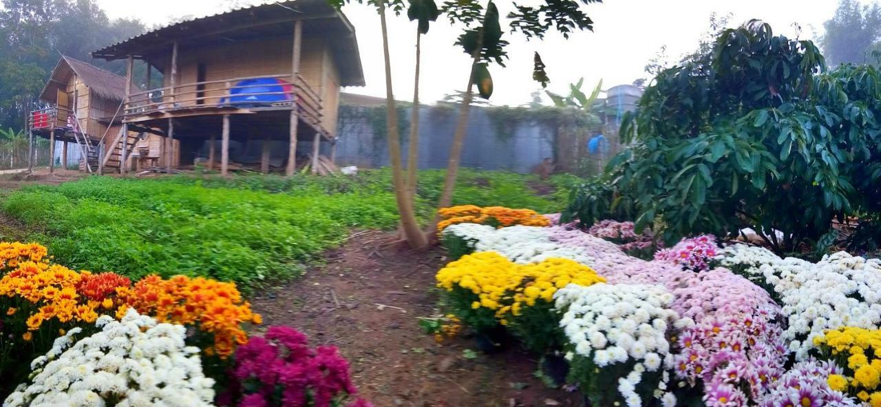 Baan Aingdoi Homestay, Chiang Dao Exterior photo