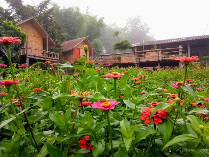 Baan Aingdoi Homestay, Chiang Dao Exterior photo